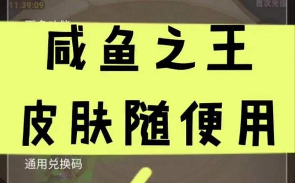 咸鱼之王皮肤币怎么获得_咸鱼之王皮肤币兑换码2023合集