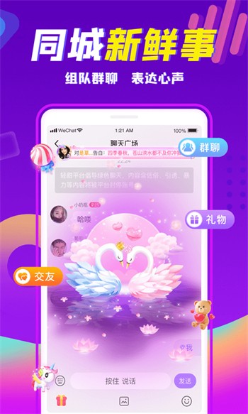 zoom下载