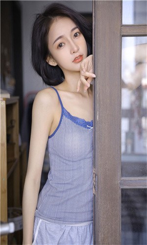 xvdevios中文版安装包下载