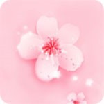 成全视频免费观看下载完整版