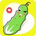 夜月直播app下载免费下载大全