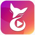 冈本视频手机版下载安装