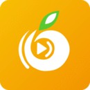 芭比视频免费观看在线下载