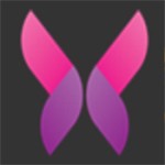 成全动漫视频在线观看免费高清中文版