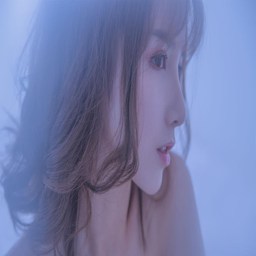 张柏芝黑木耳：从美食到养生的多元探索
