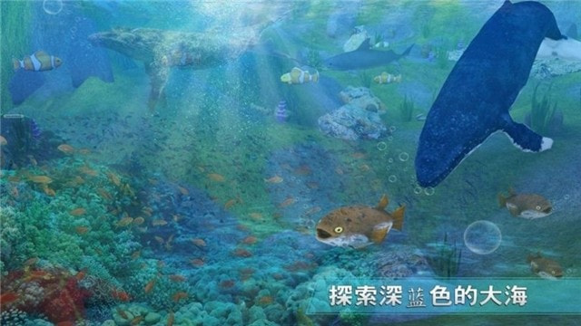全民养鲨鱼2