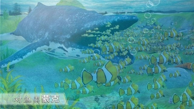 全民养鲨鱼1