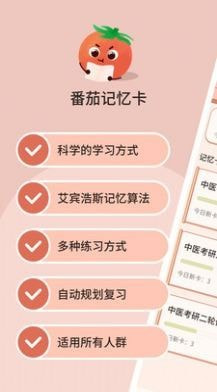 番茄记忆卡0